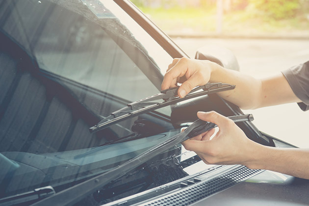 paletas de vidros do carro
